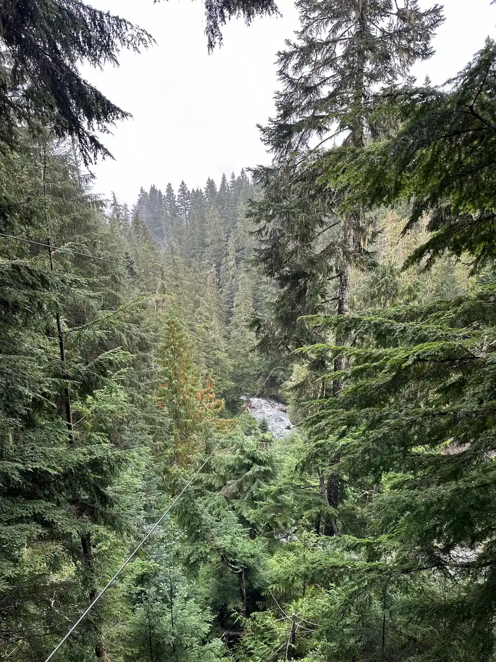 Forest and water at the bottom of the valley