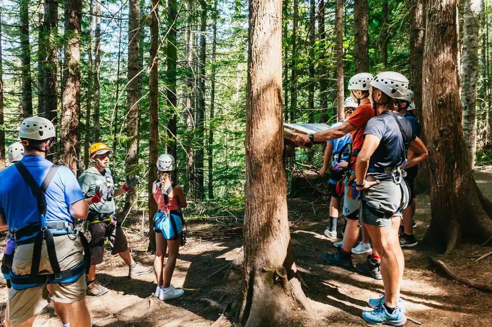 The group gathered at a tree platform