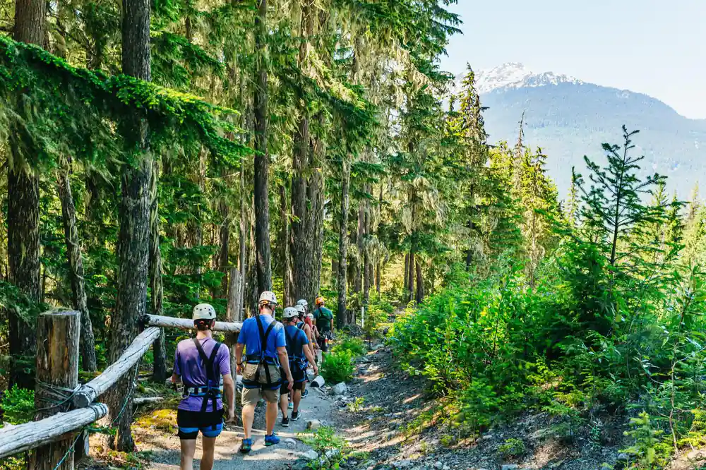 The group walking the forest trail between lines