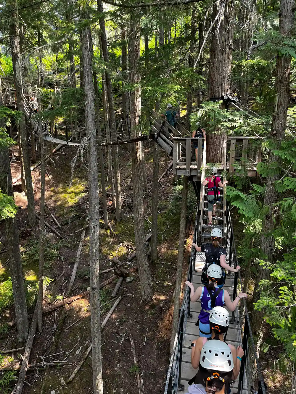 A line of walkers crossing the bridge in single file