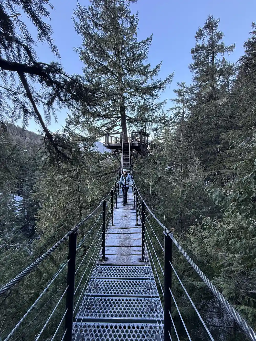 A long suspension bridge strung through the forest