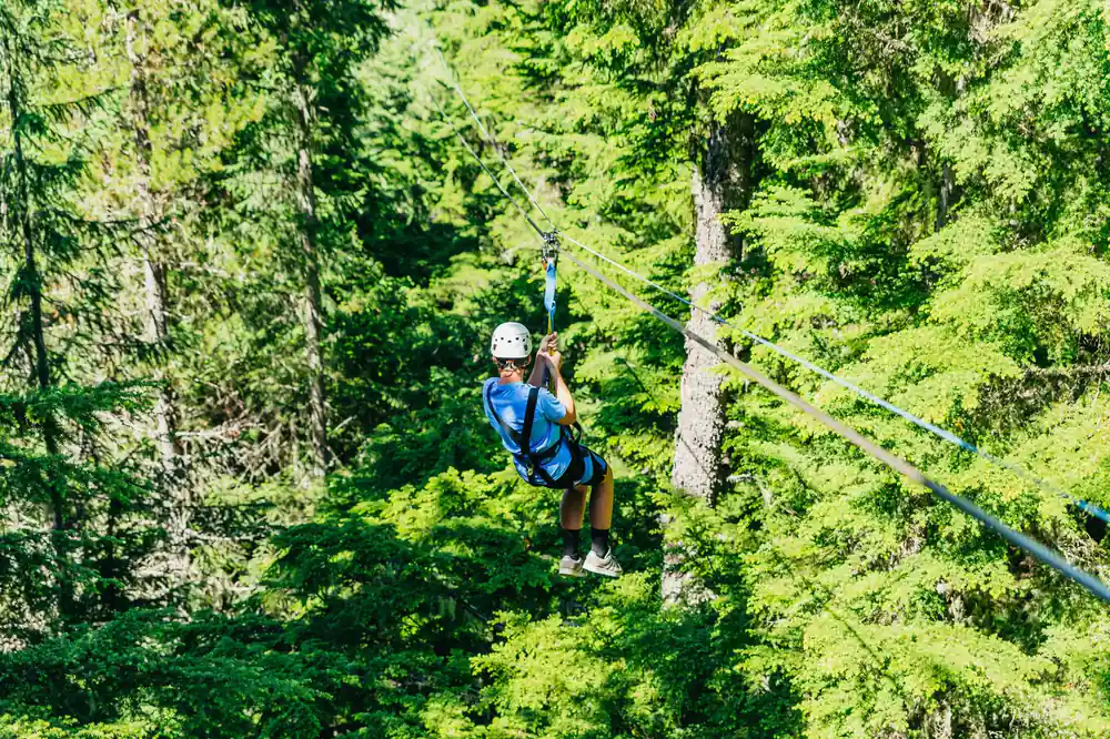 A rider crossing high in the tree tops