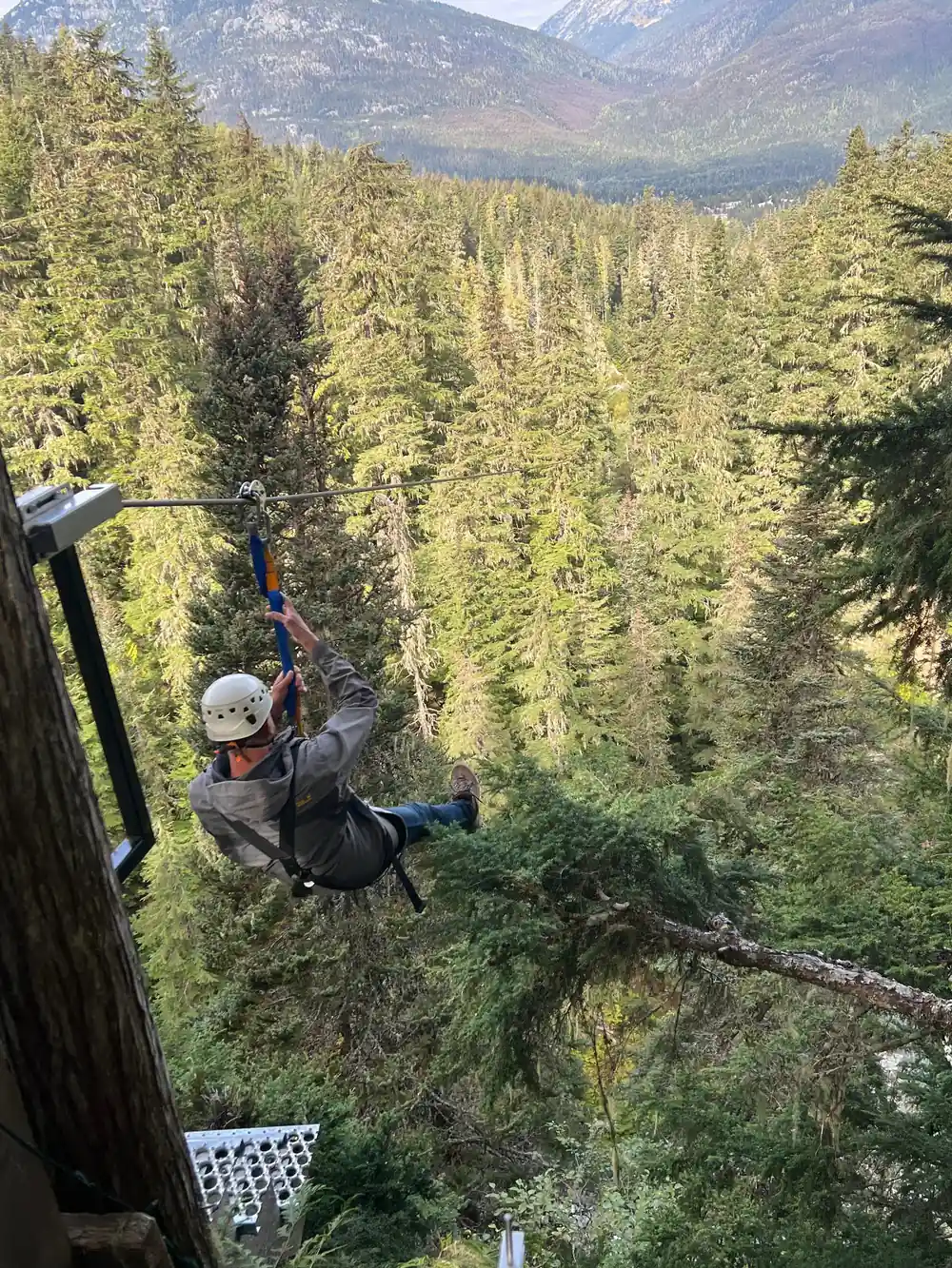 A rider out over the valley forest