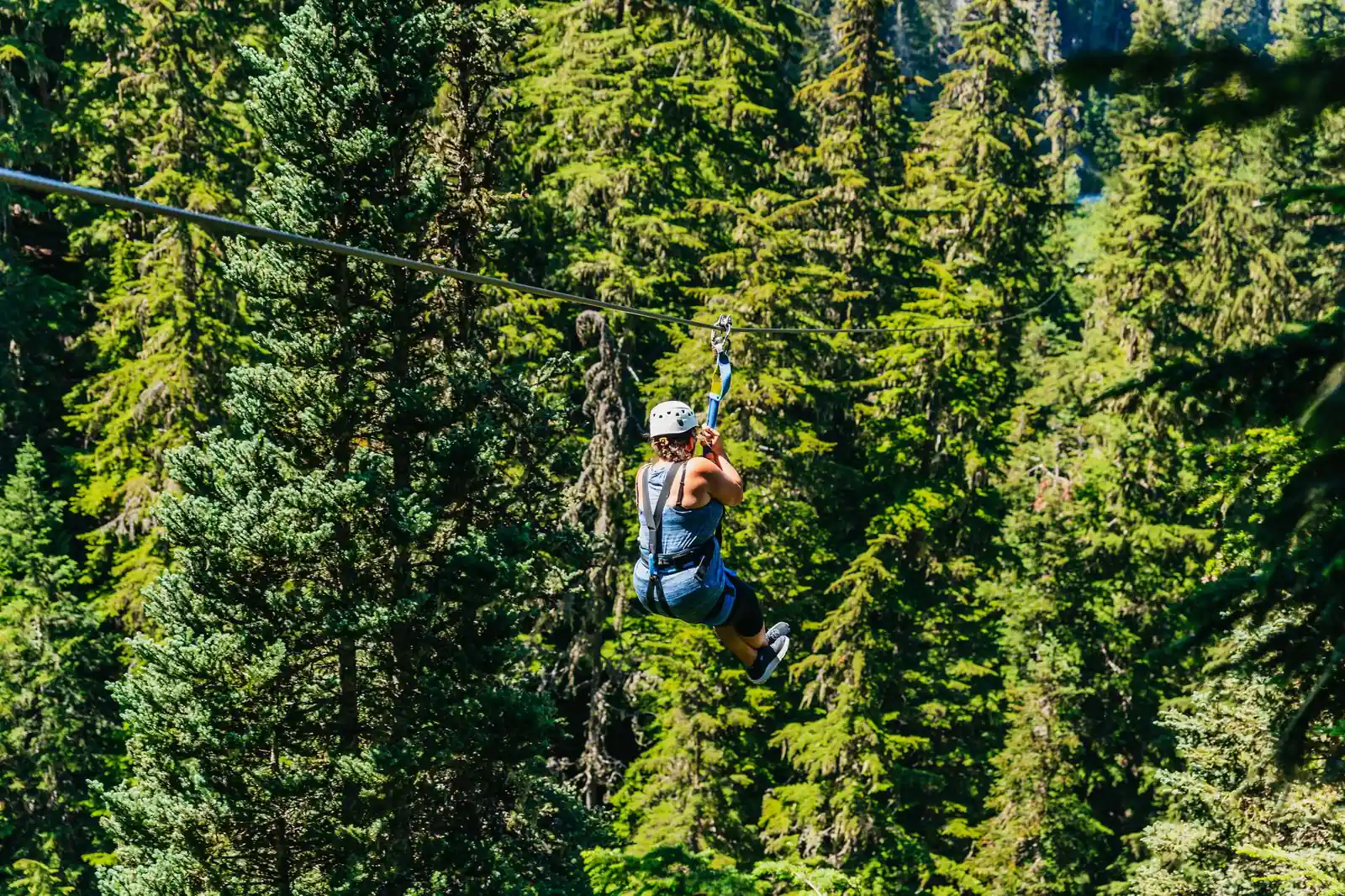 Ziplining Experience