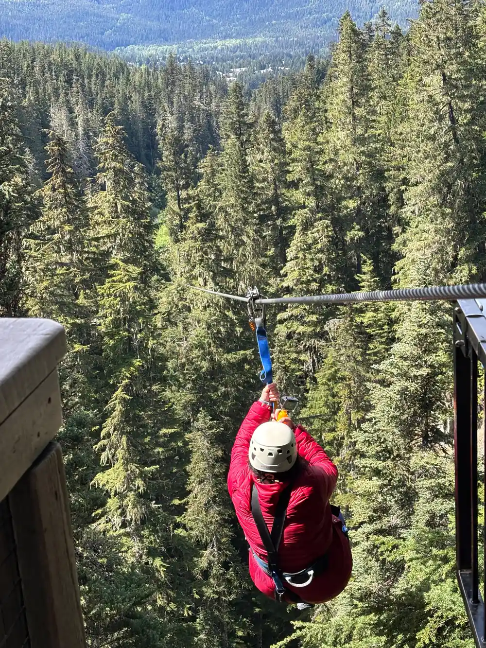 A rider on the wire in the winter forest