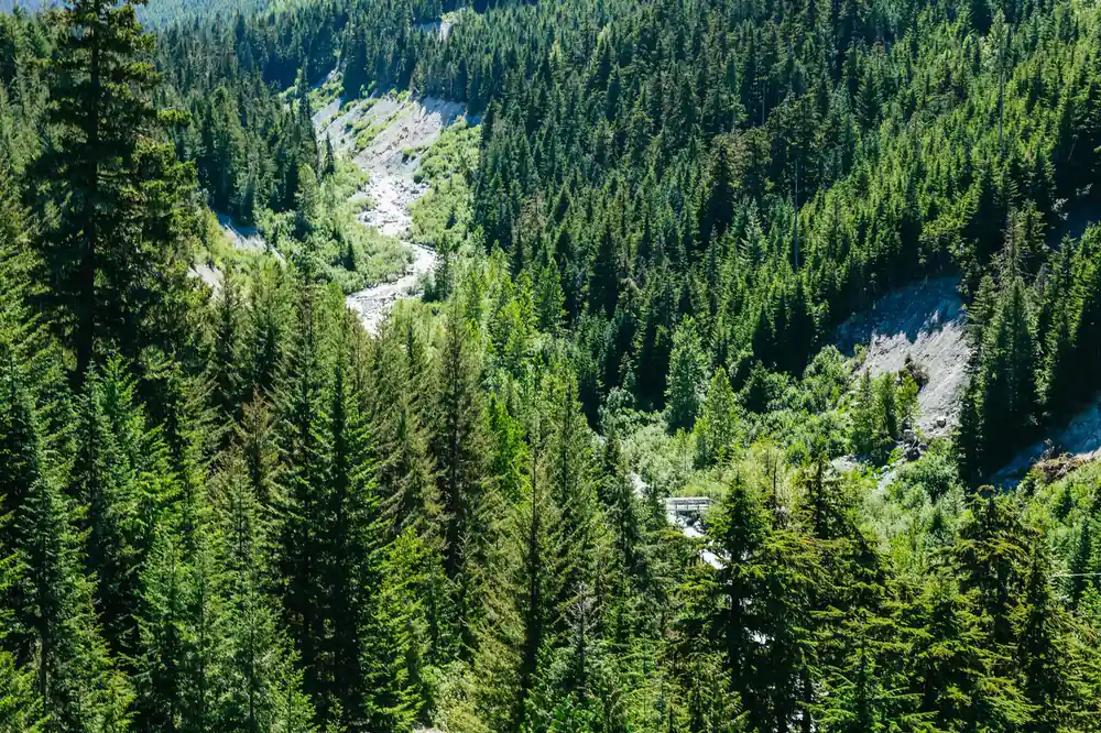 The river running through the forested valley