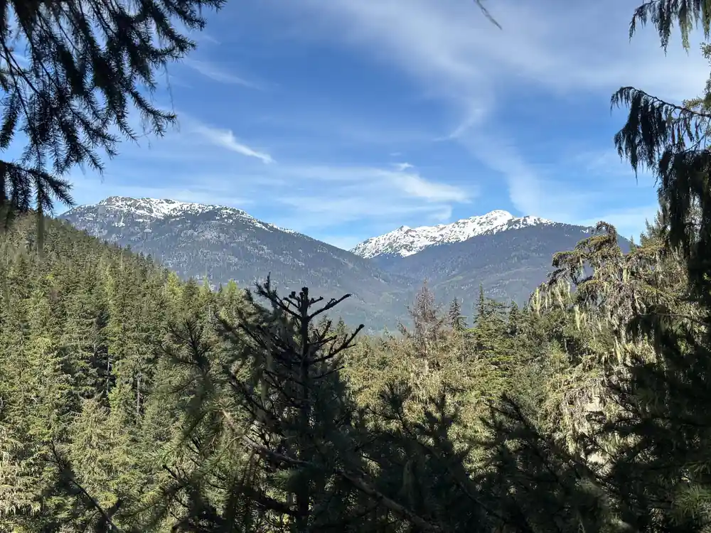 The snow-capped range above the treeline