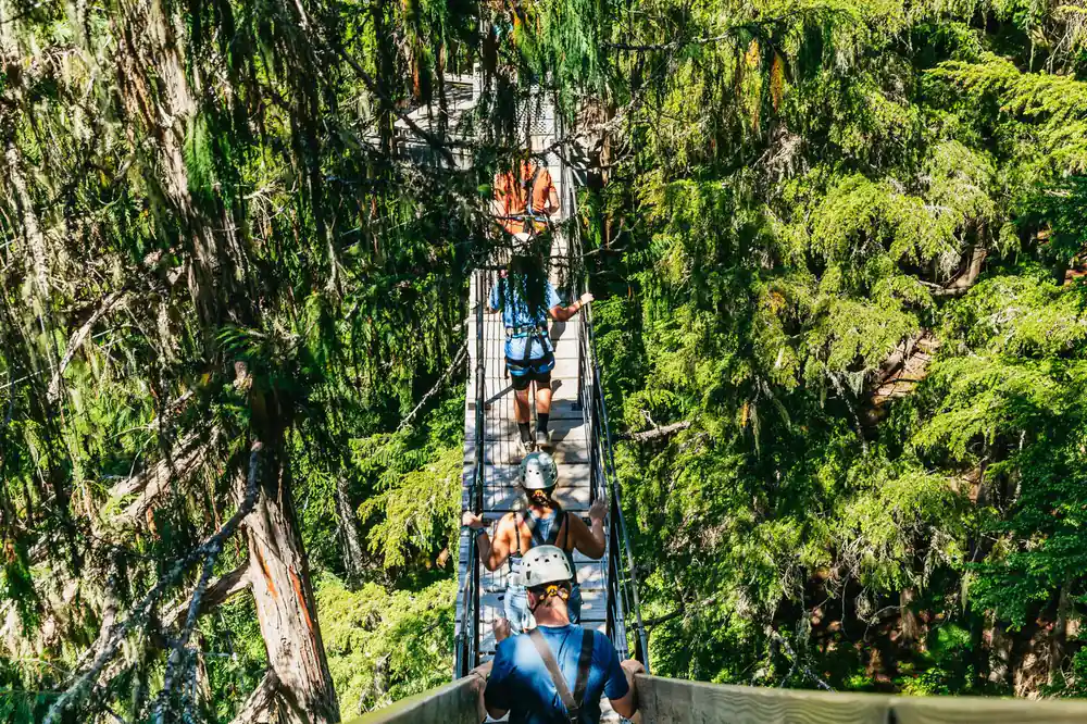 A suspension bridge with the group crossing it
