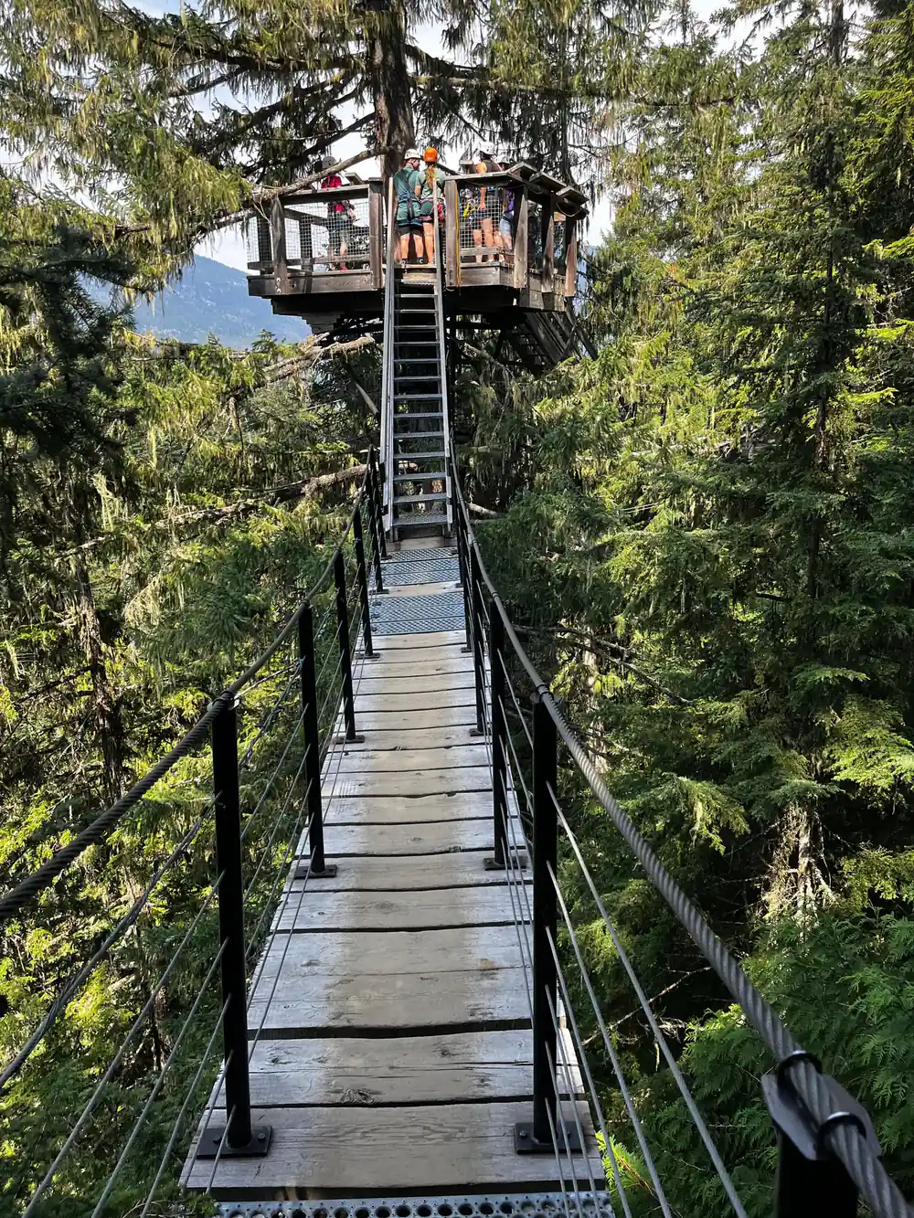 A treetop platform above the bridge