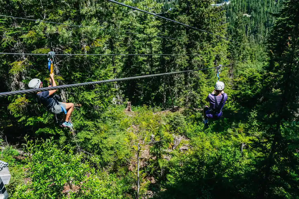 Two riders on the line through the forest