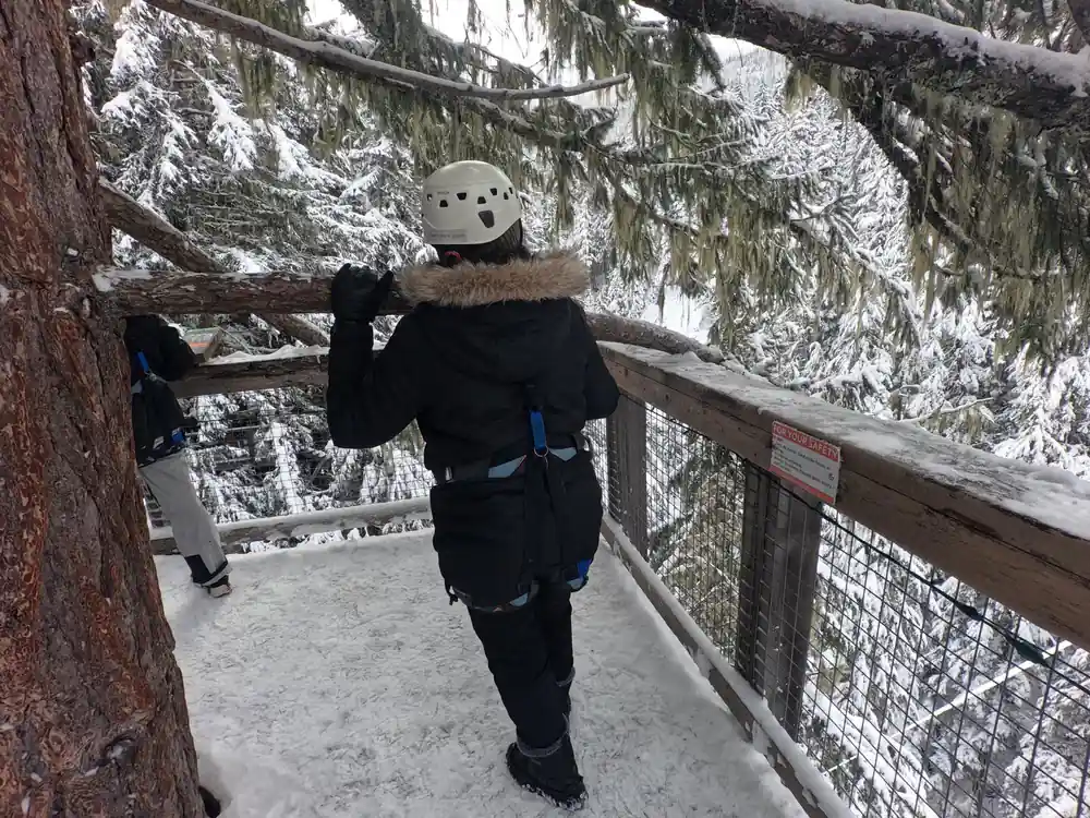 A walker crossing a snowy bridge